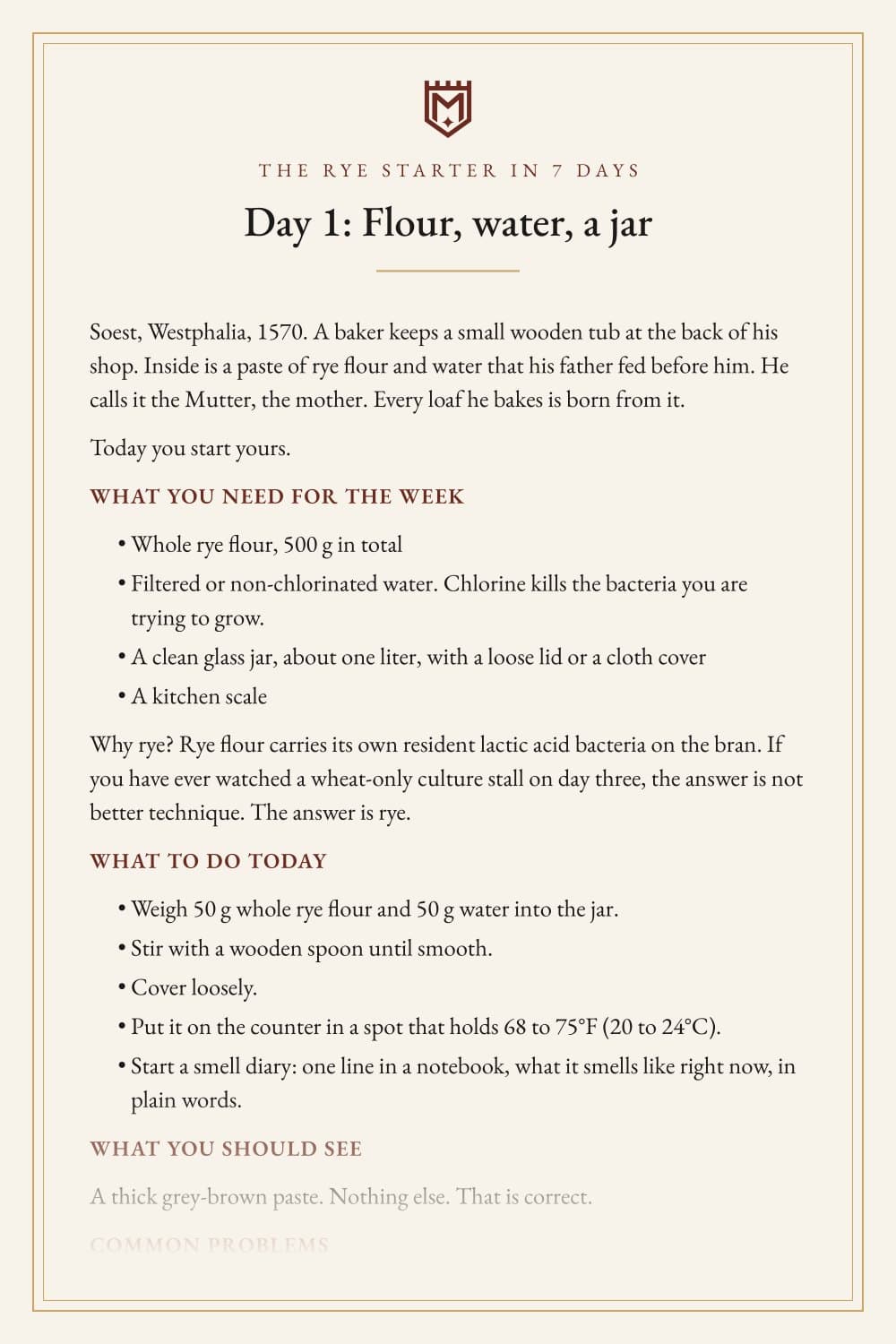 The Rye Starter in 7 Days · Day 1