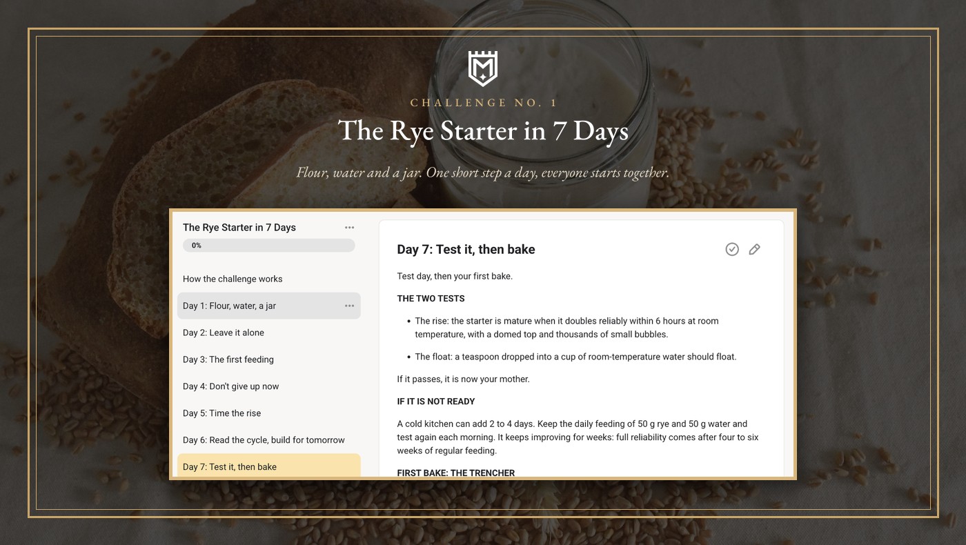 The Rye Starter in 7 Days challenge with its daily lessons